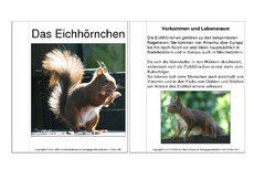 Mini-Buch-Eichhörnchen-Steckbrief-Fotos.pdf